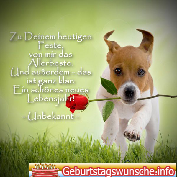 Geburtstagswünsche für Hunde Geburtstagswünsche für HaustierHund