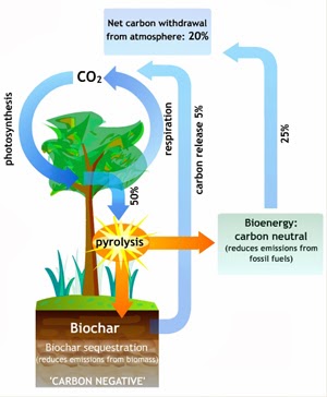biochar pyrolysis carbon cycle soil greenhouse friendly eco climate gases plants replanting biomass miracle gimmick sequestering cornell energy ancient change