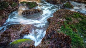 Amalan Untuk Khodam Pendamping Macan Prabu Siliwangi Harus Garis Keturunan