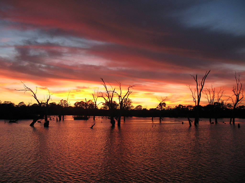 Murray River Images n Detail Australia's Longest River Murray River Images n Detail Australia's Longest River