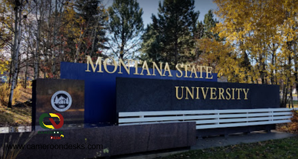 Montana State University Presidential Scholarships 2021/2022 for International Undergraduate Students – USA