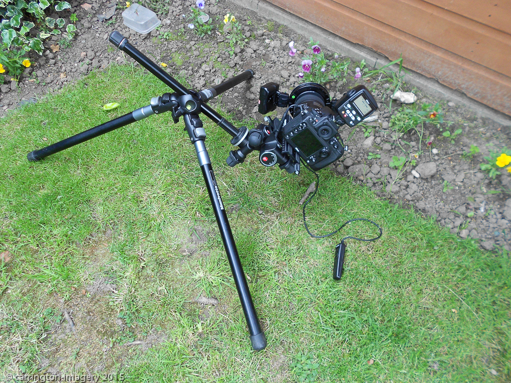 Chris's Blog Using the Nikon R1C1 Closeup Speedlight Commander Kit