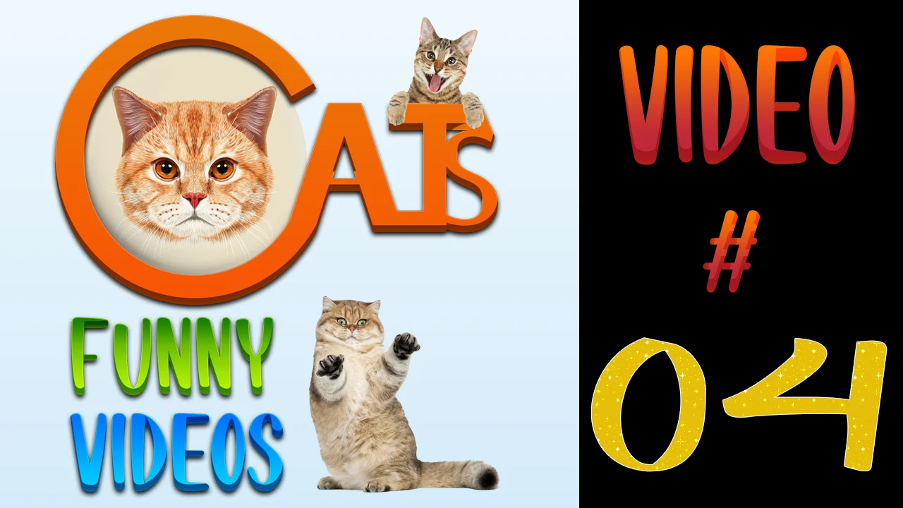Cats Funny Videos Compilation 04 | Cute Cats | #cats #catsfunnyvideos