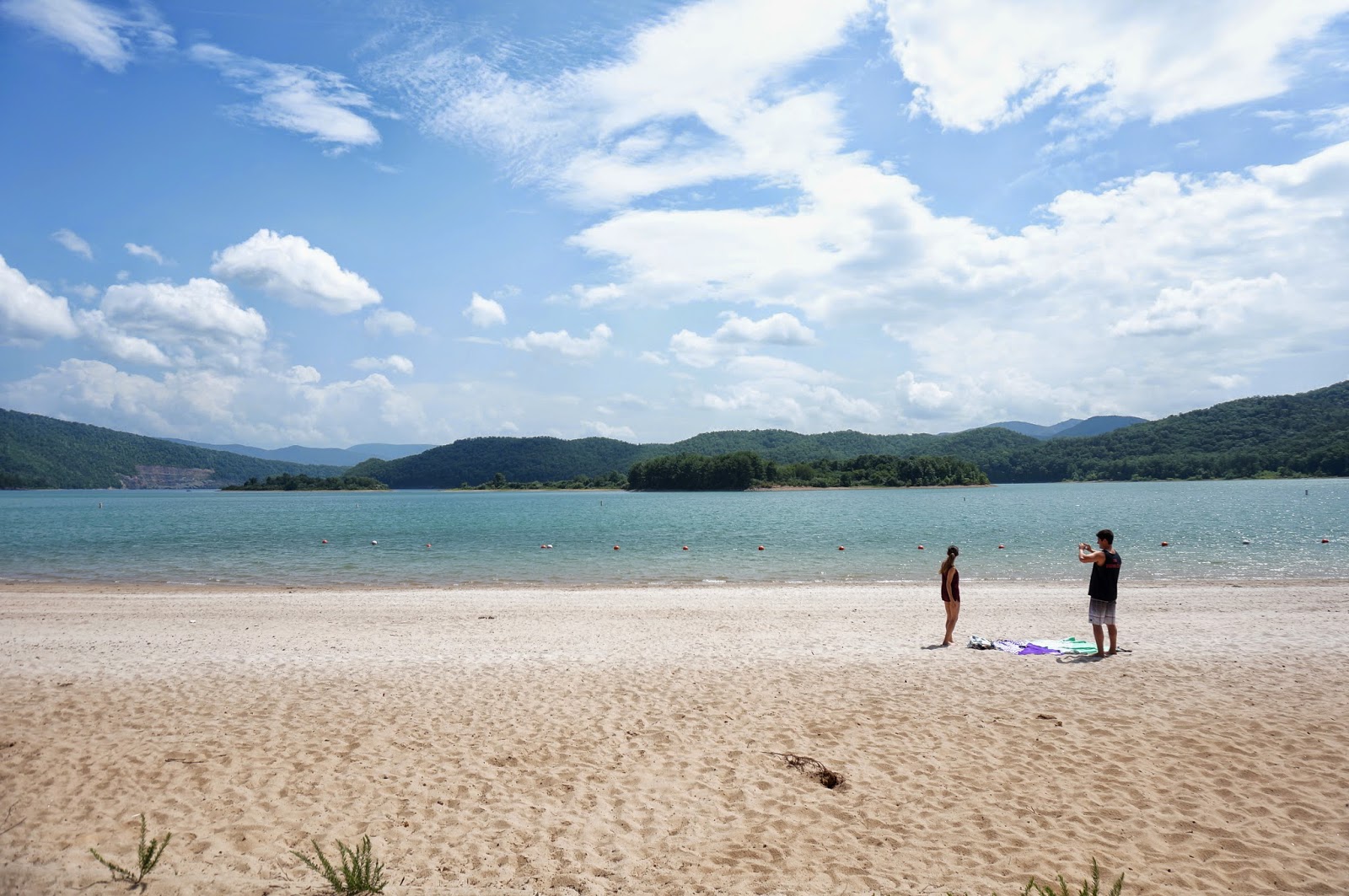The Curious Lark Garth Newel Lake Moomaw