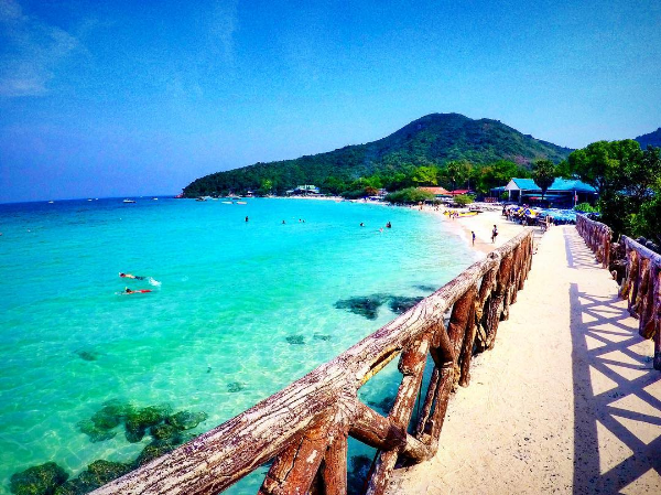 Coral - paradise atoll of Thailand
