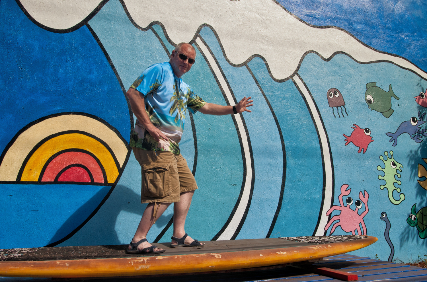 Shutterbugs Capturing the World Around Us Safe Surfing