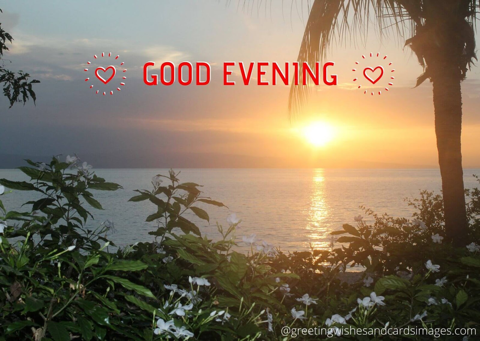 Good Evening Images 2020 - Greeting Wishes And Cards Images