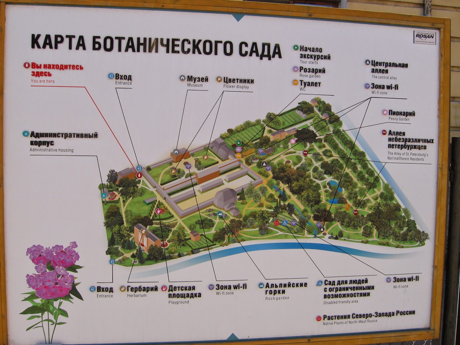 Схема ботанического сада. Ботанический сад Ростова-на-Дону. Ботанический сад Ростов на Дону. Никитский Ботанический сад схема. Ботанический сад Сухум на карте.