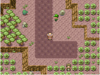 Pokemon Umber Screenshot 05