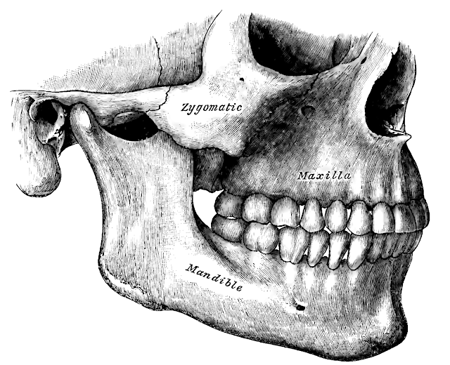 closed fracture of zygomatic arch closed fracture of zygomatic arch