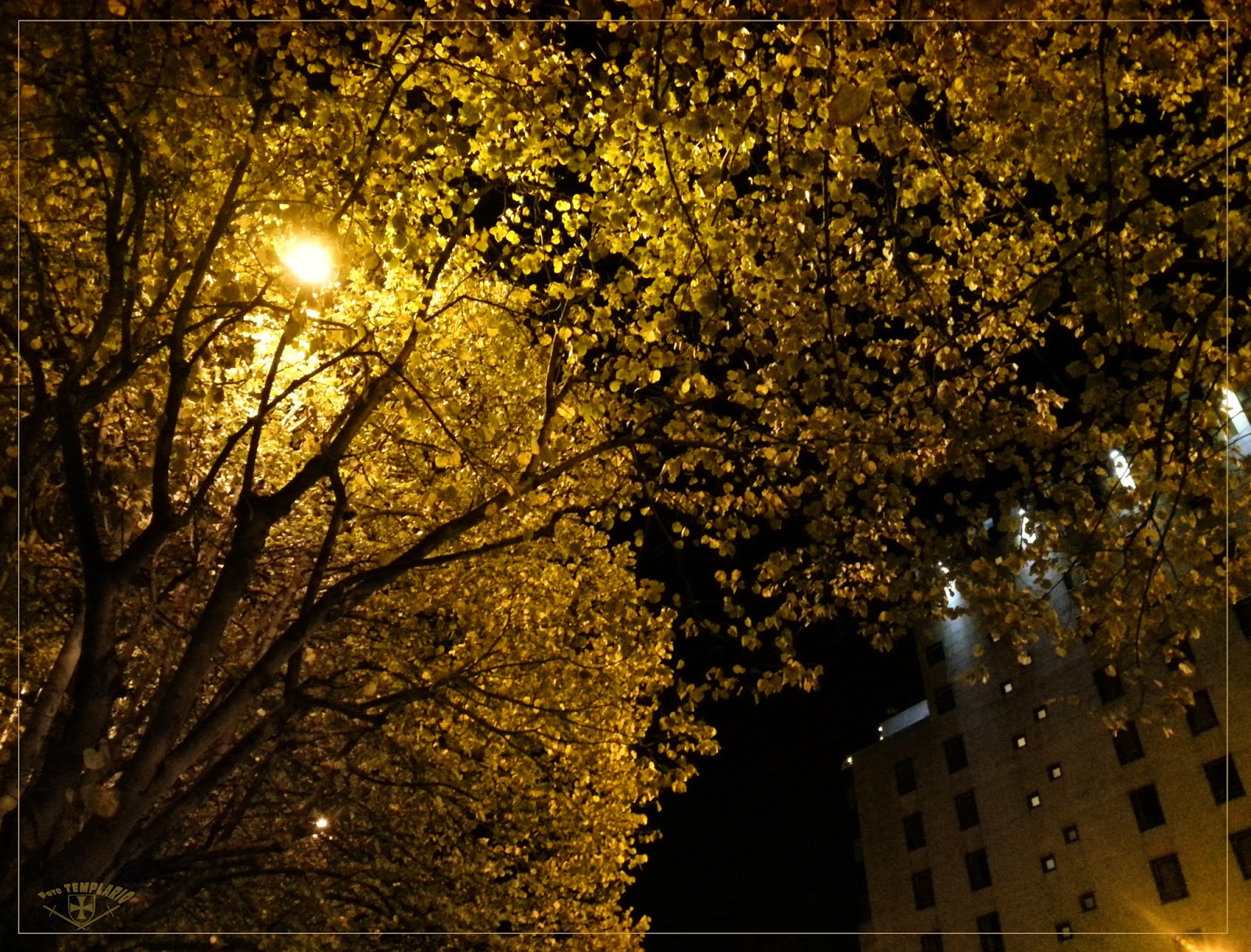 золотая звезда. золотой светящийся шар. фон черный с золотом. звездное небо желтое. осенняя ночь.