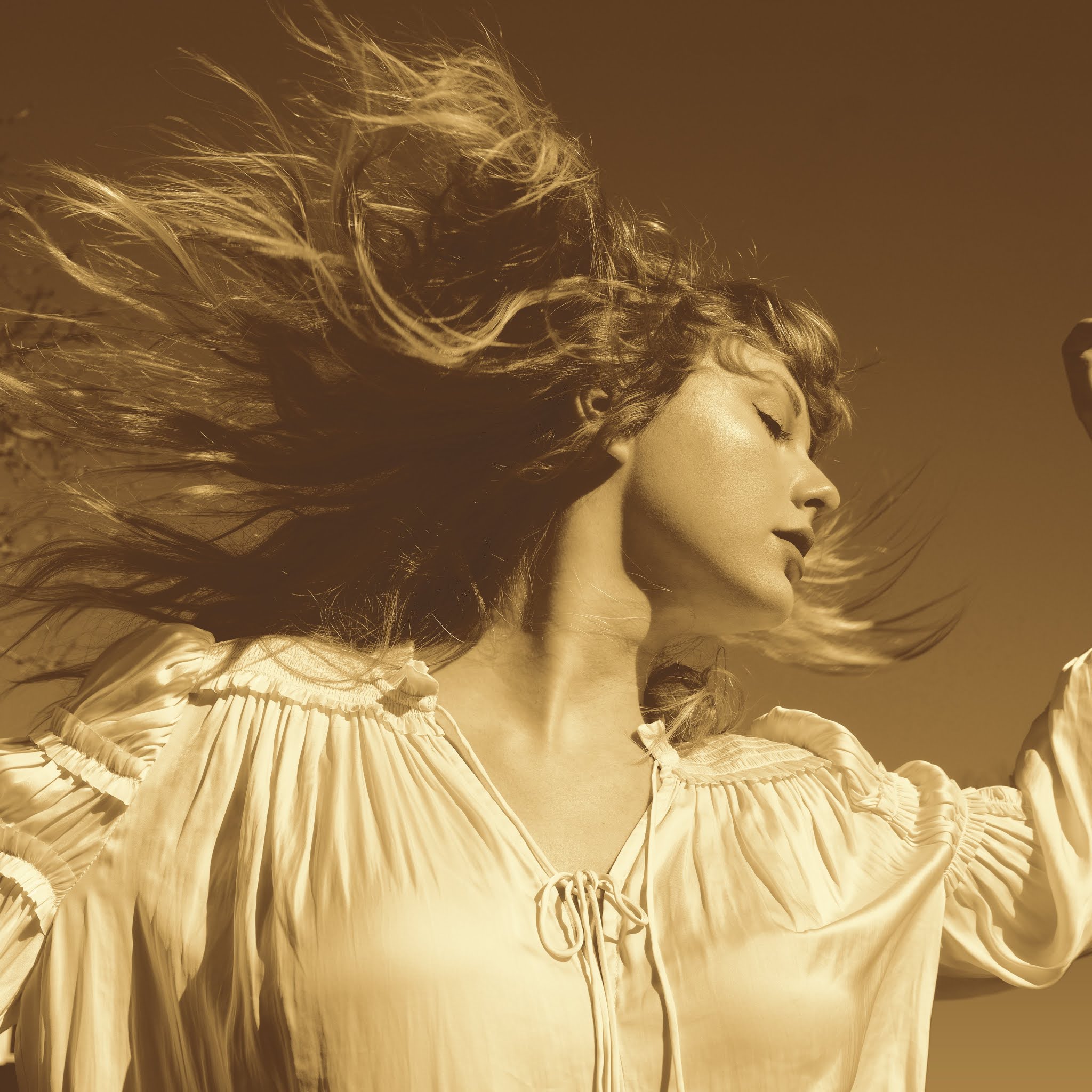 Booklet: Fearless (Taylor's Version) | Música - El Rincón de Taylor