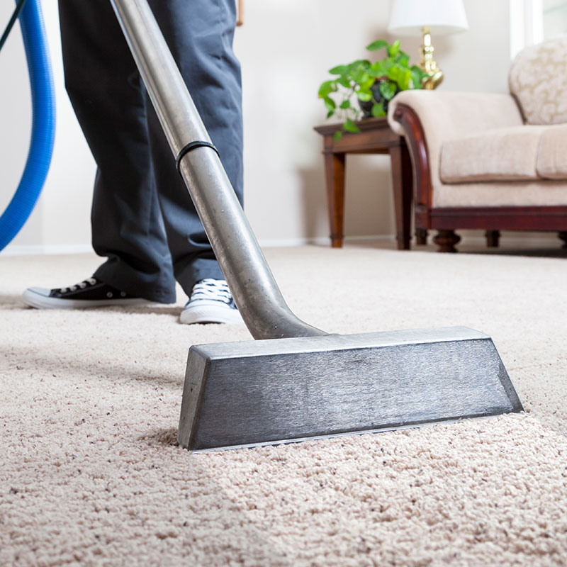 carpet cleaning