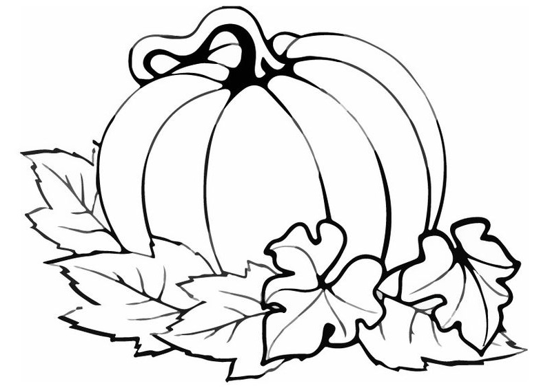 Tranh tô màu quả bí đỏ « in hình này