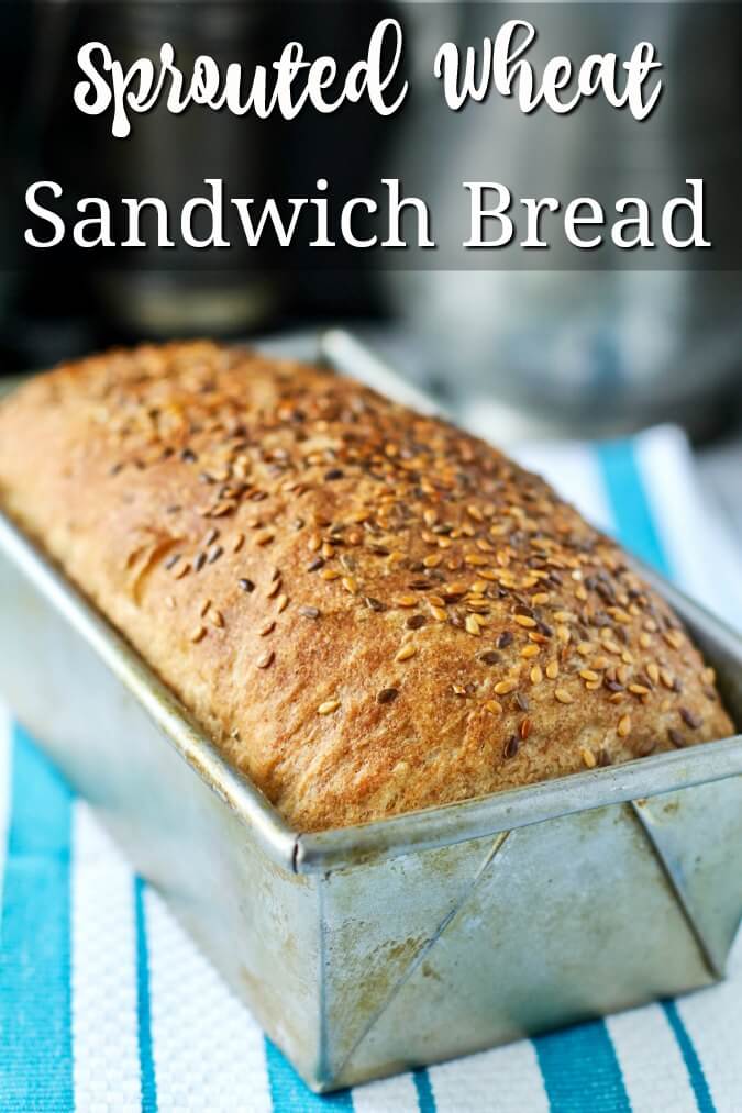 No Knead Sprouted Wheat and Flax Seed Sandwich Bread Karen's Kitchen