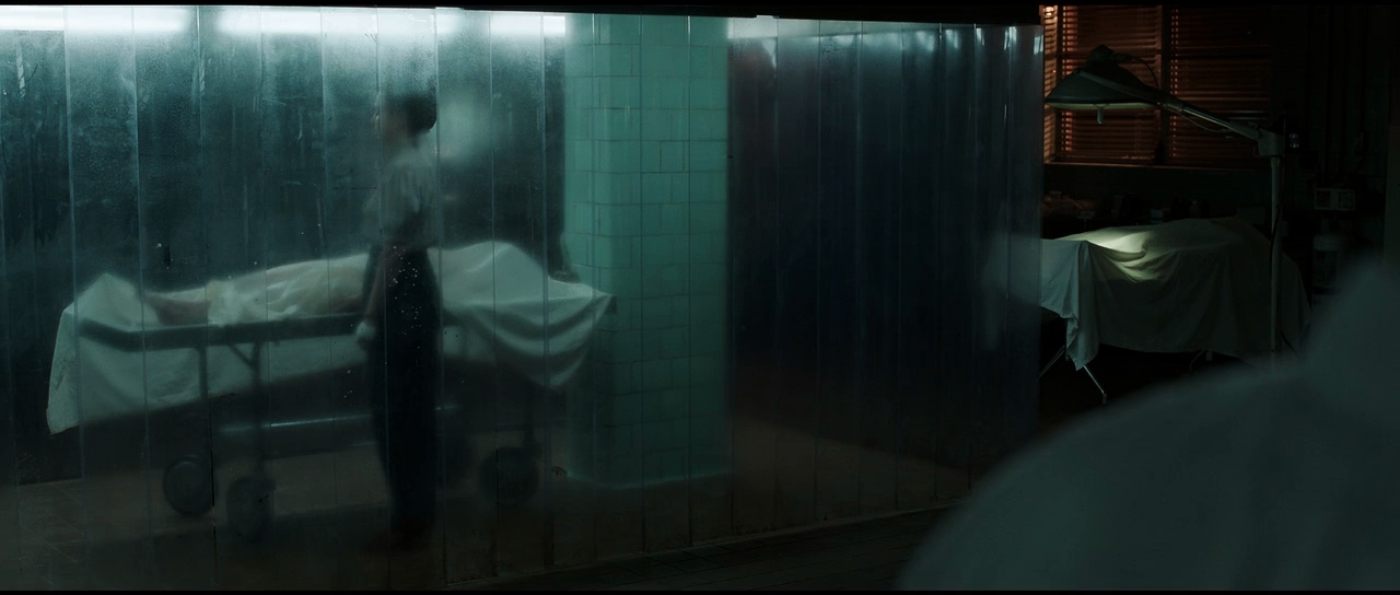 El Conjuro 3 el Diablo me Obligó a Hacerlo 2021 HD 720p Latino 3
