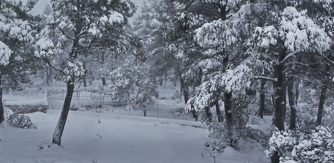 Καιρός: Χιόνια σε όλη την Αθήνα - Ισχυρή σύσταση για αποφυγή μετακίνησης, πού υπάρχουν προβλήματα
