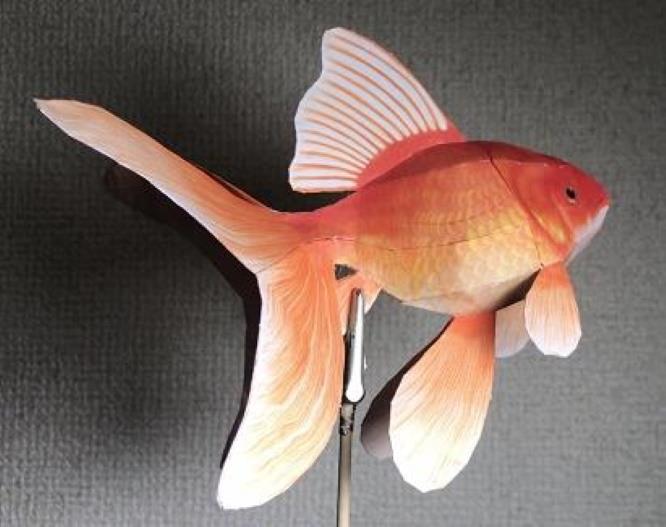 PAPERMAU Golden Fish A Realistic Decorative Paper Model by M. Ozap