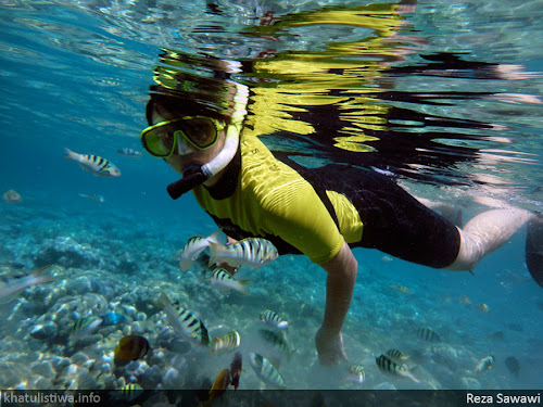 kegiatan snorkelling di Taman Laut Bunaken
