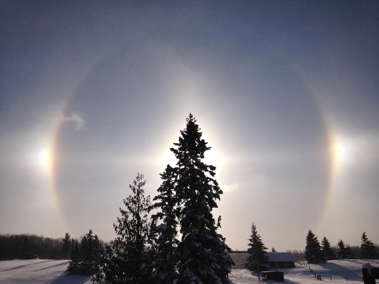 Sundogs