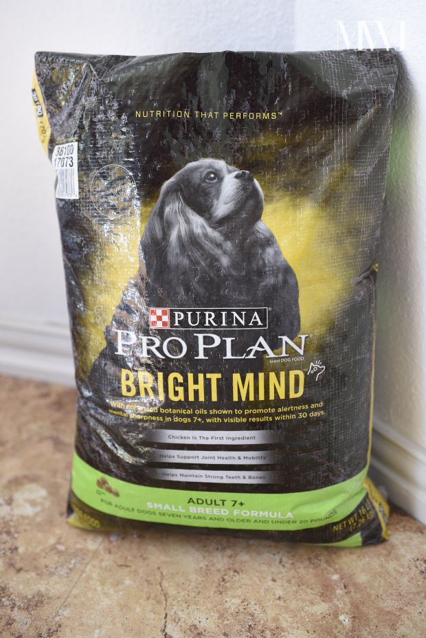 Purina Pro Plan Bright Mind Review for Senior Dogs (7+)