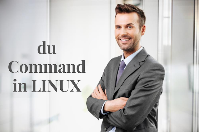 du Command, Linux Certification, Linux Tutorial and Material, Linux Learning, LPI Guides, Linux Online Exam