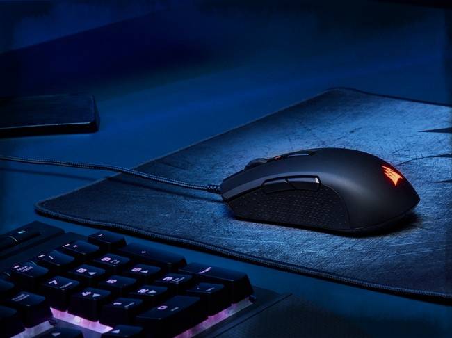 Inexpensive symmetric mouse Corsair M55 RGB Pro Inexpensive symmetric mouse Corsair M55 RGB Pro