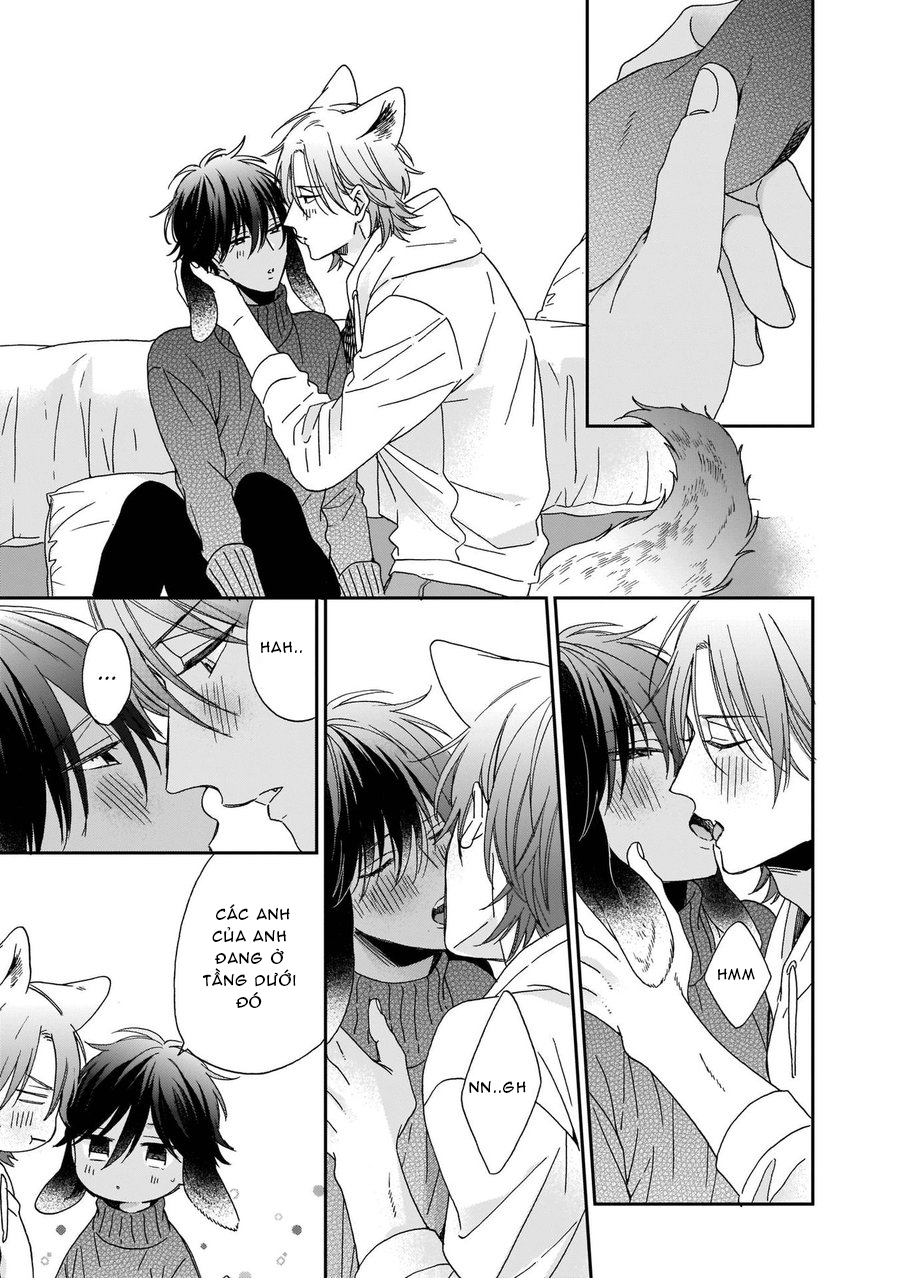 Đọc truyện Ookami-kun sẽ không buông tay! - Chapter 2