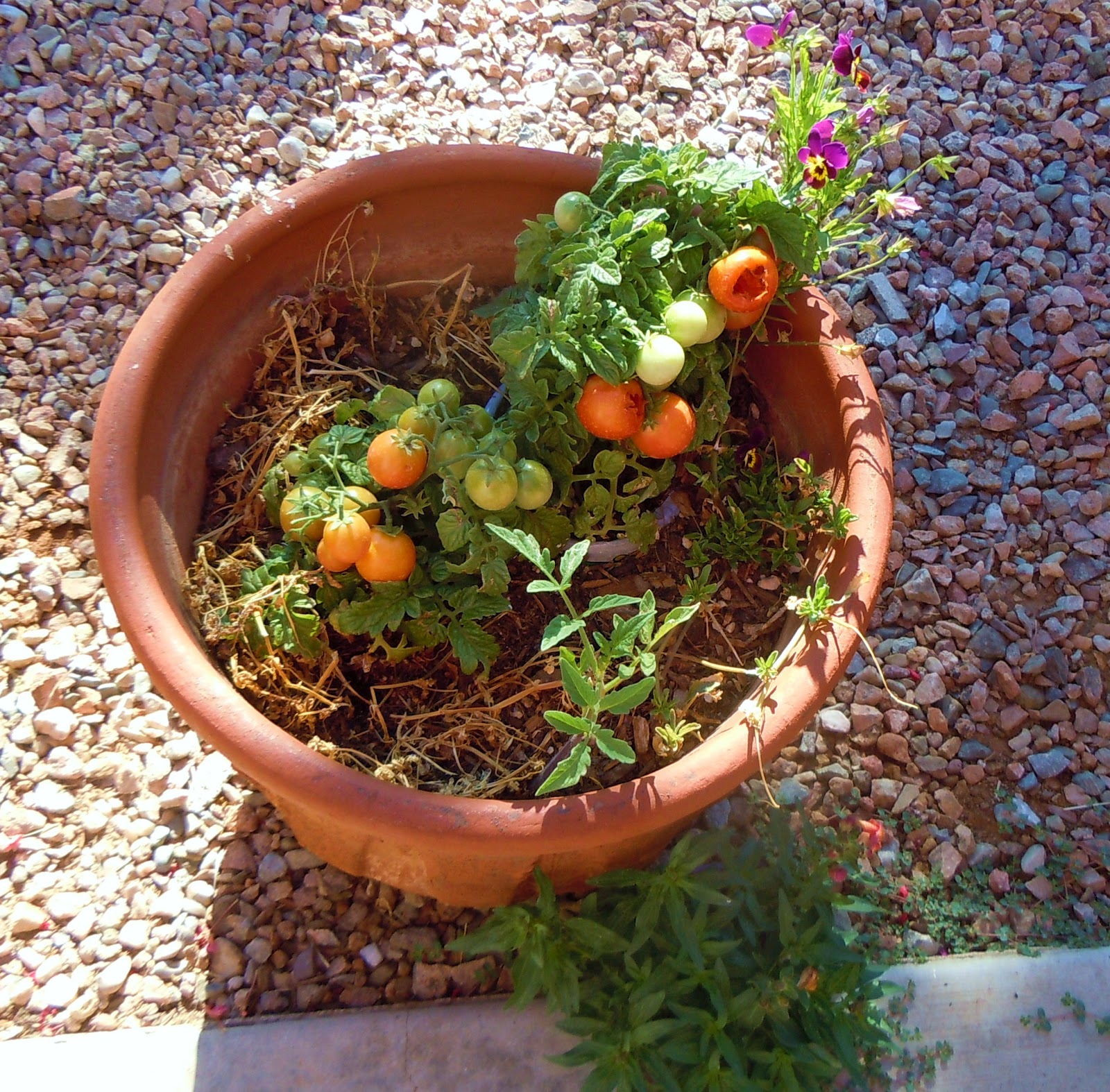 WonkyGirls Journal Changed Mind on Quilt Project