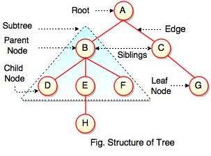 What are Trees ? - data structure tutorial