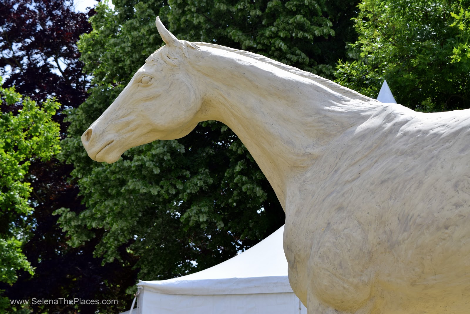 Royal Ascot 2015