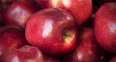 ΚΑΣΤΟΡΙΑ: Αυξημένη σε σχέση με πέρσι η παραγωγή μήλων