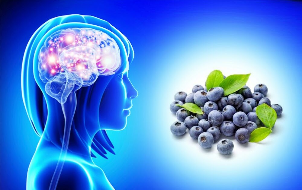 Consommer des bleuets peut aider à combattre la maladie d'Alzheimer