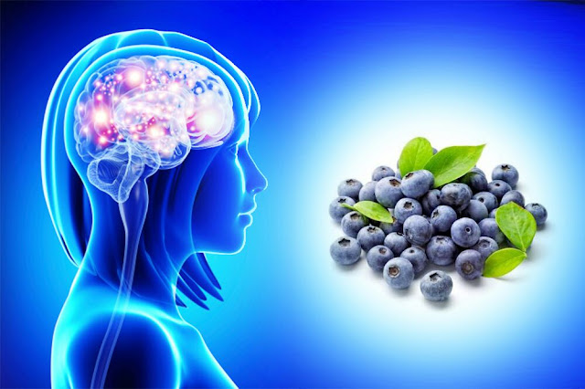 Consommer des bleuets peut aider à combattre la maladie d'Alzheimer