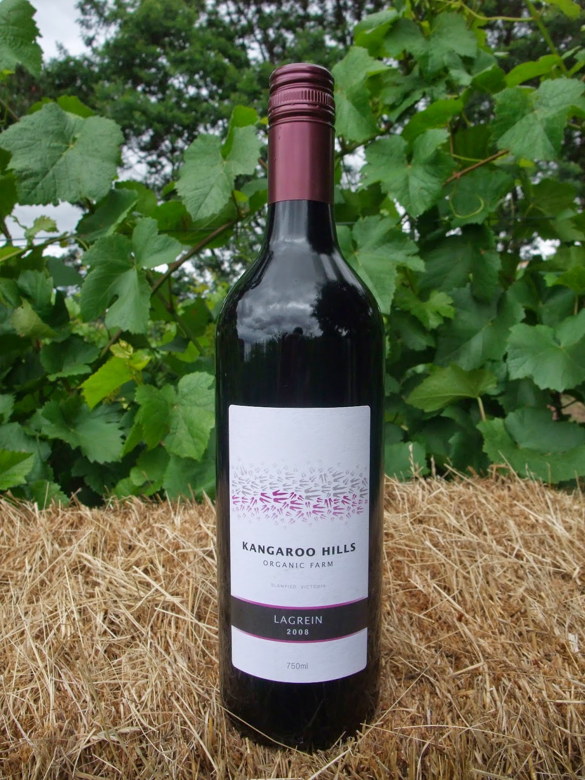 Red Wine With Kangaroo Label Label Ideas