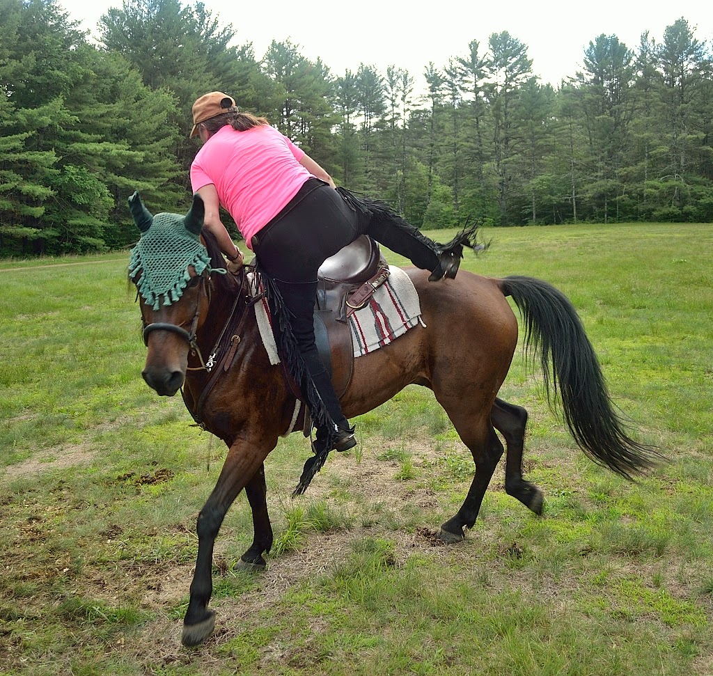 Bleecker Mountain Life Horse Camping In Lake Luzerne, In Photos