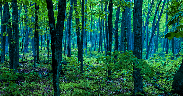 Baxter Hollow in North Freedom WI