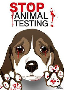 Não à utilização de animais em testes
