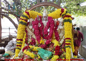 Murugan Temple - Kura Tree
