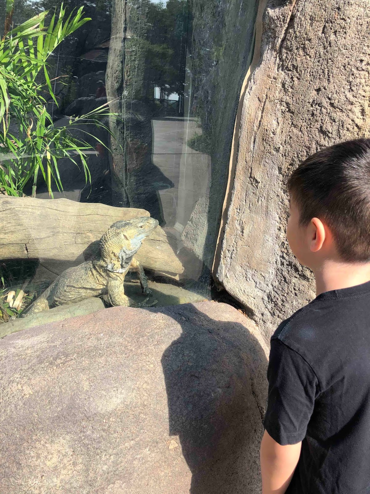 Hawaii Mom Blog Visit Omaha Omaha's Henry Doorly Zoo and Aquarium