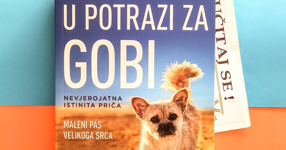 gobi dion leonard gobi dion leonard