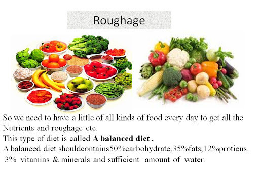 Roughage In Food