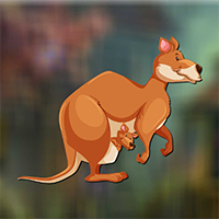 AvmGames Kangaroo With Ba…