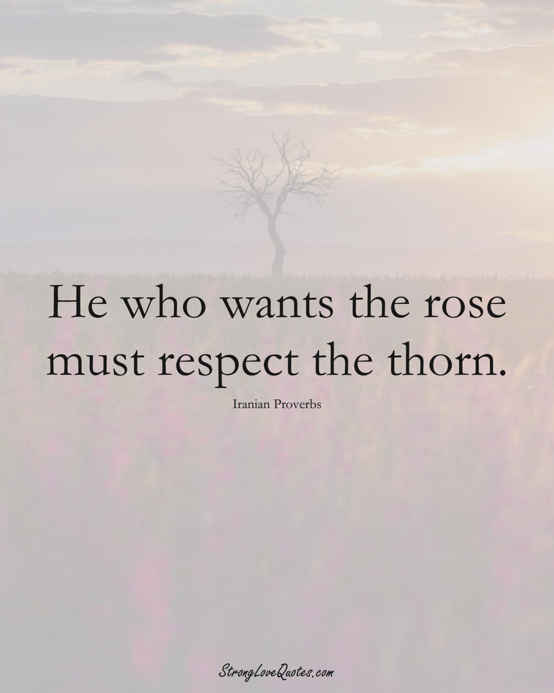 He who wants the rose must respect the thorn. (Iranian Sayings);  #MiddleEasternSayings