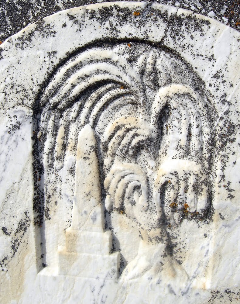 A Morbid Fascination