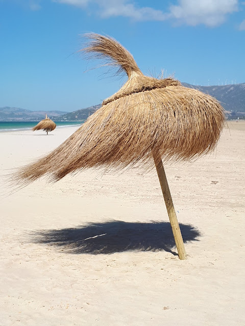 Las sombrillas en la playa de los Lances