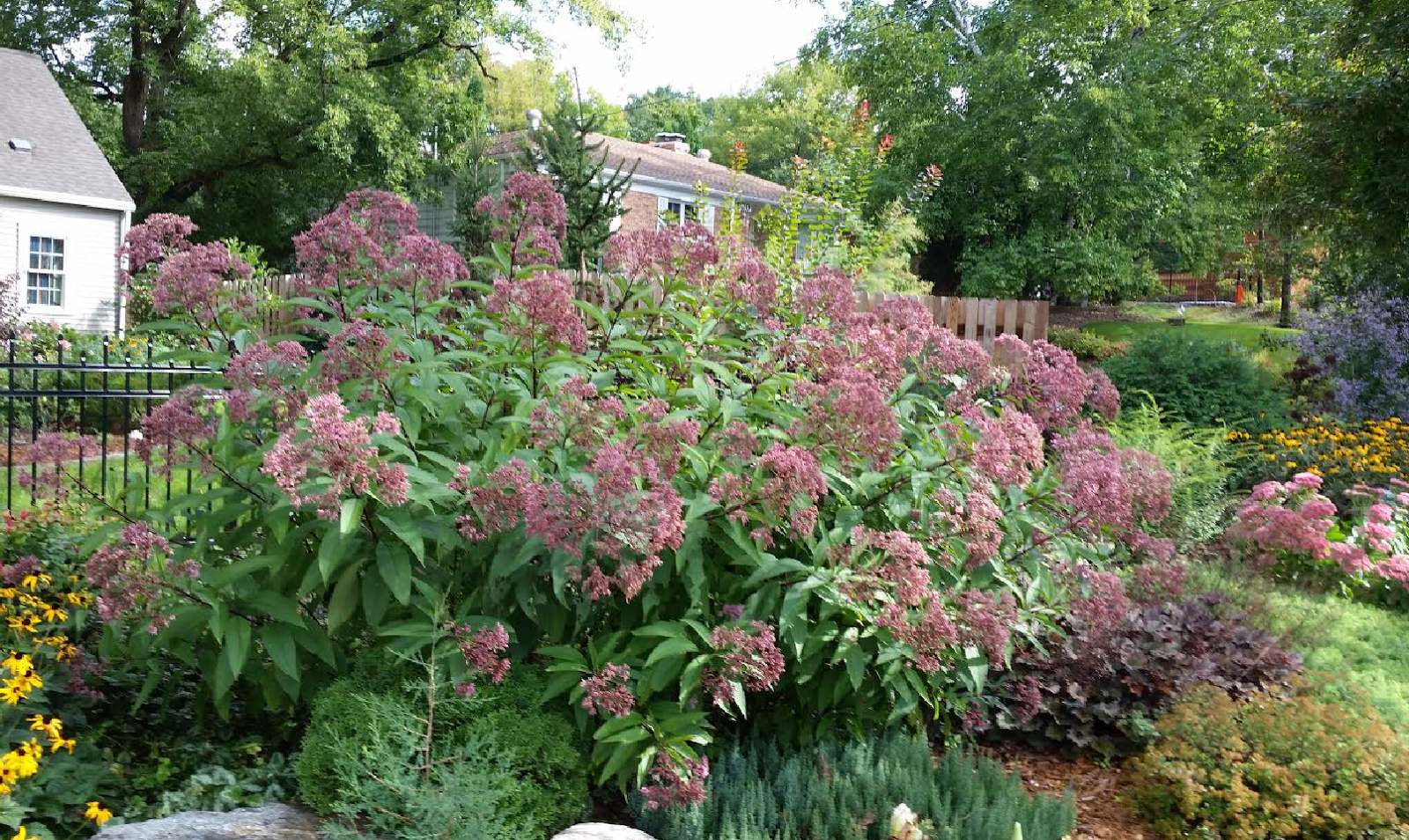 a garden we passed while exploring minneapolis