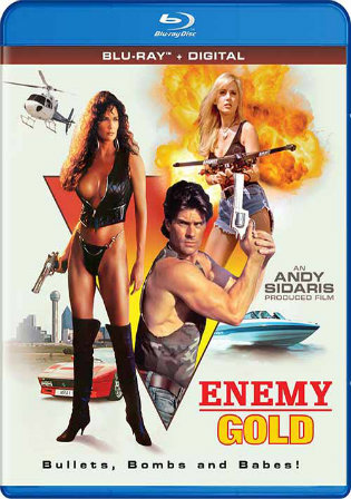 Enemy Gold 1993 BRRip 300Mb UNRATED Hindi Dual Audio 480p Watch Online Full Movie Download bolly4u