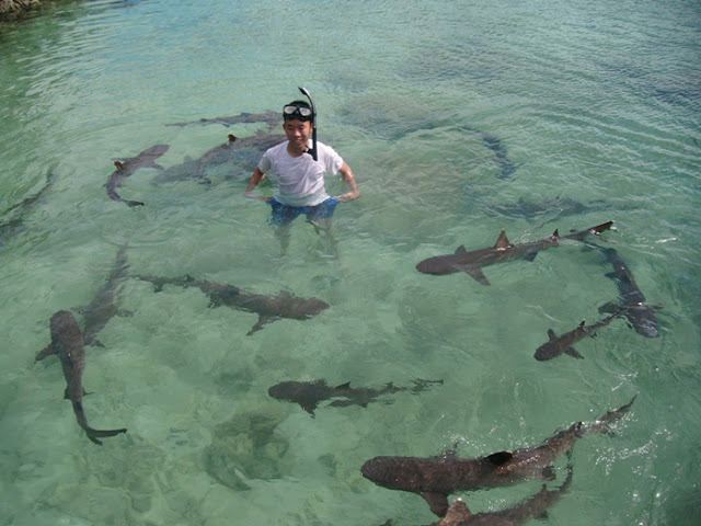 Wisata Pantai Karimunjawa Jawa Tengah