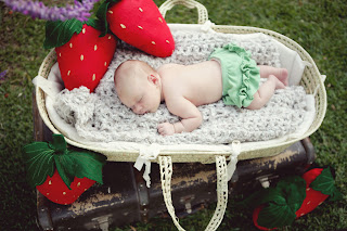 strawberry felt pillow